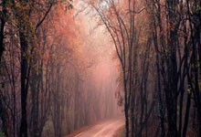 世界杯买球网站 -以色列提升全國(guó)警(jǐng)戒级别 加緊(jǐn)军事(shì)准备