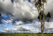 世界杯买球网站 -以色列提升全國(guó)警(jǐng)戒级别 加緊(jǐn)军事(shì)准备